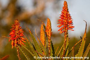 Réserve naturelle Malolotja - Swaziland