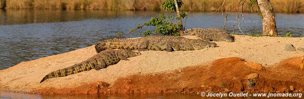 Sanctuaire d'animaux de Mlilwane - Swaziland