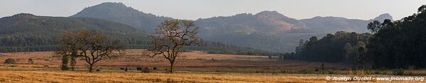 Sanctuaire d'animaux de Mlilwane - Swaziland