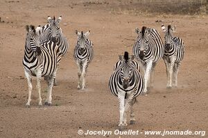 Hlane Royal National Park - Swaziland