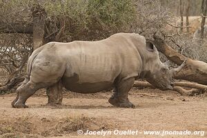 Parc national royal Hlane - Swaziland