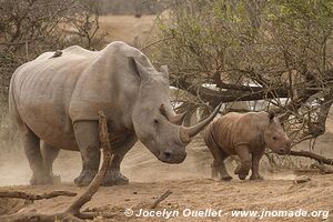 Hlane Royal National Park - Swaziland