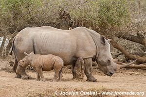 Parc national royal Hlane - Swaziland