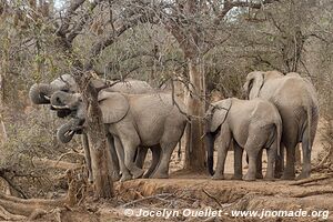 Hlane Royal National Park - Swaziland