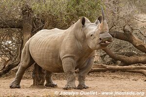 Parc national royal Hlane - Swaziland