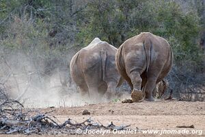 Parc national royal Hlane - Swaziland