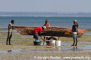 Kilwa Kivinje - Tanzania