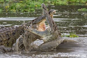 Selous Game Reserve - Tanzania