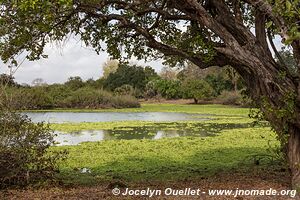 Selous Game Reserve - Tanzania