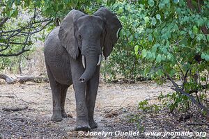 Selous Game Reserve - Tanzania