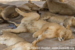 Selous Game Reserve - Tanzania