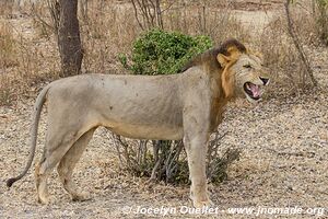 Selous Game Reserve - Tanzania