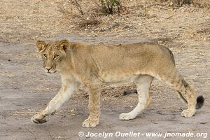 Selous Game Reserve - Tanzania