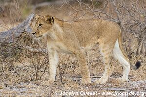 Selous Game Reserve - Tanzania