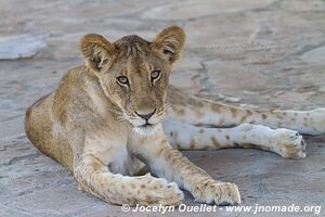 Selous Game Reserve - Tanzania