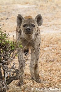 Selous Game Reserve - Tanzania