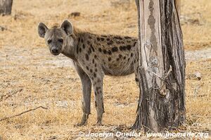 Selous Game Reserve - Tanzania