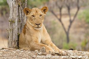 Selous Game Reserve - Tanzania