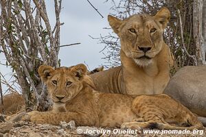 Selous Game Reserve - Tanzania