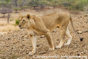 Selous Game Reserve - Tanzania