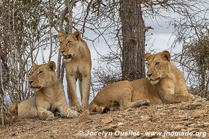 Selous Game Reserve - Tanzania