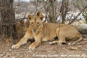 Selous Game Reserve - Tanzania