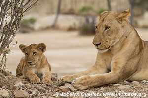 Réserve faunique du Selous - Tanzanie