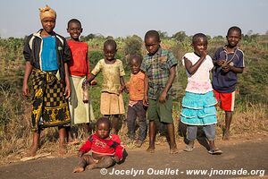 Route de Tukuyu à la frontière - Tanzanie