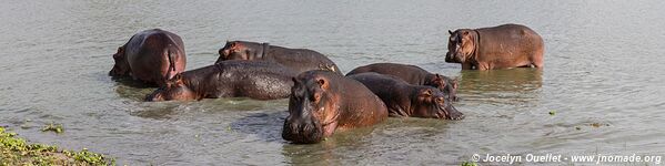 Selous Game Reserve - Tanzania