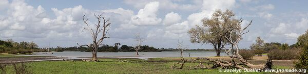 Selous Game Reserve - Tanzania