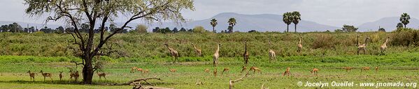 Selous Game Reserve - Tanzania