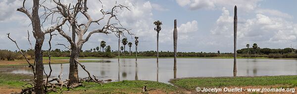 Réserve faunique du Selous - Tanzanie