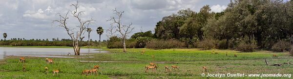 Selous Game Reserve - Tanzania