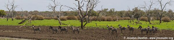 Selous Game Reserve - Tanzania