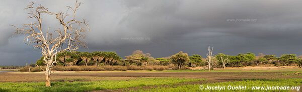 Réserve faunique du Selous - Tanzanie