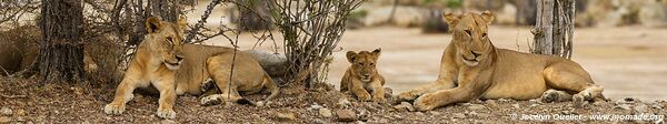 Réserve faunique du Selous - Tanzanie