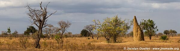 Selous Game Reserve - Tanzania