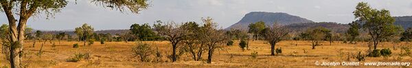 Réserve faunique du Selous - Tanzanie