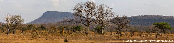 Selous Game Reserve - Tanzania