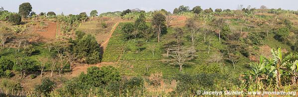 Road from Tukuyu to the border - Tanzania