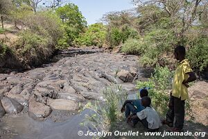 Katavi National Park - Tanzania