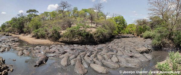 Katavi National Park - Tanzania