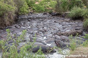 Parc national de Katavi - Tanzanie