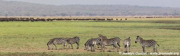 Katavi National Park - Tanzania