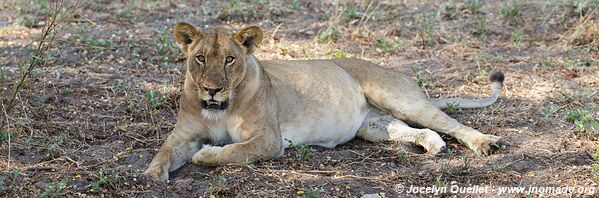 Parc national de Katavi - Tanzanie