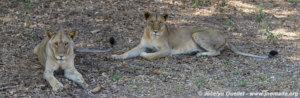 Katavi National Park - Tanzania