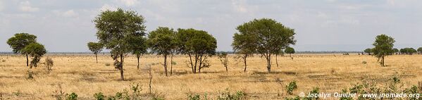 Parc national de Katavi - Tanzanie