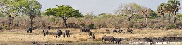 Parc national de Katavi - Tanzanie