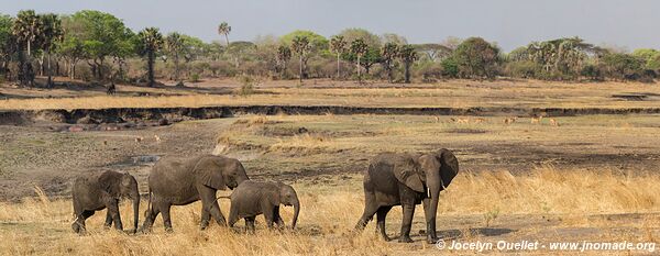 Parc national de Katavi - Tanzanie