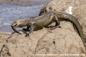 Katavi National Park - Tanzania